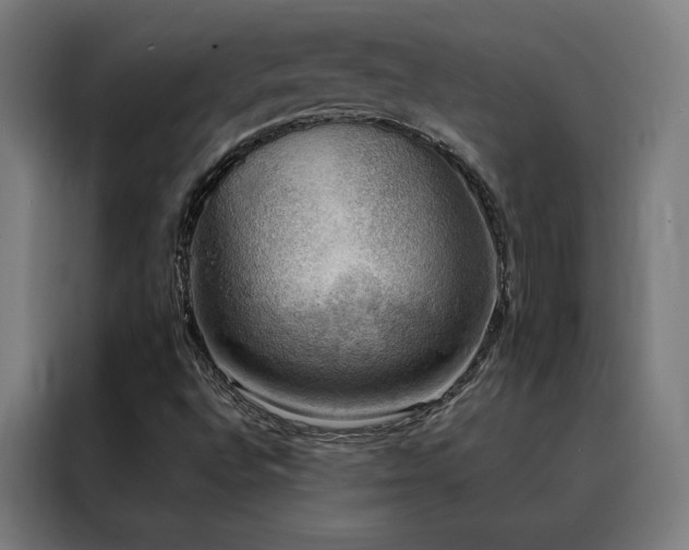 X0000088391496200705221103