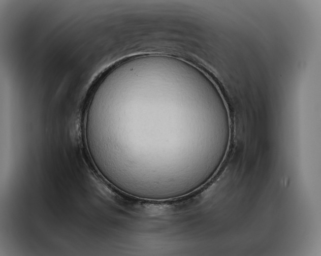 X0000088391498200705221103