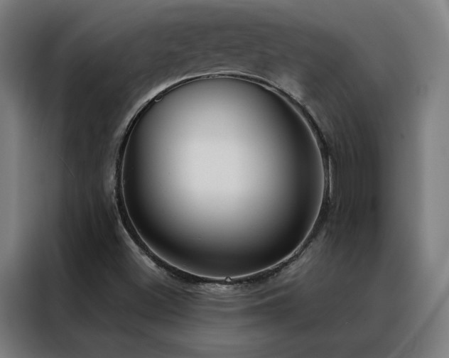 X0000088391500200705221103