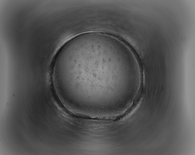 X0000088391501200705221103