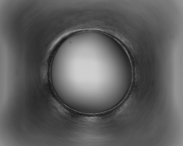 X0000088391502200705221103