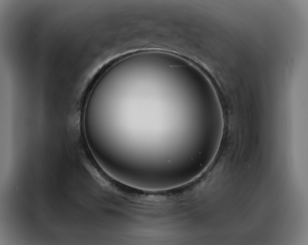 X0000088391503200705221103