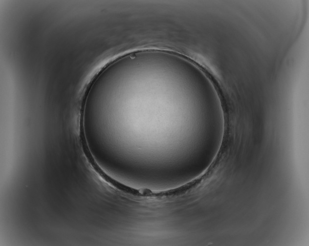 X0000088391504200705221103