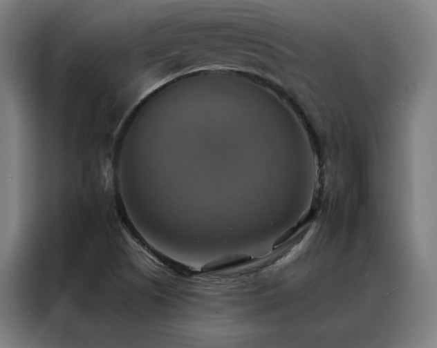 X0000088391505200705221103