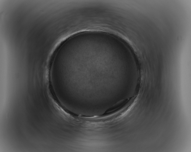 X0000088391506200705221103