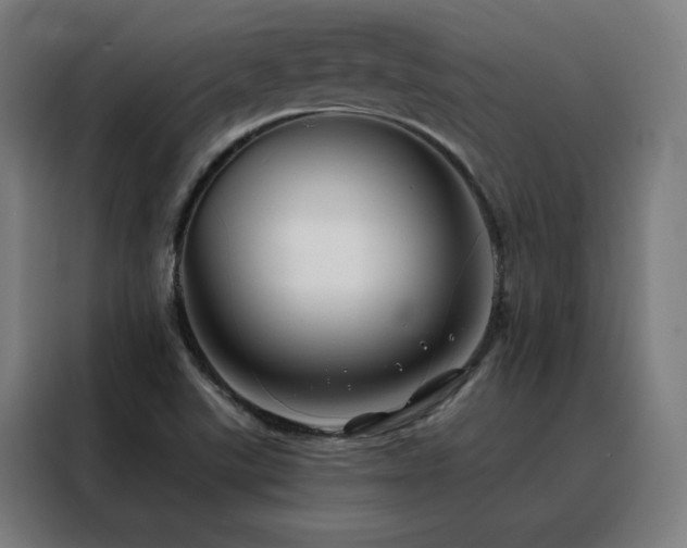 X0000088391507200705221103