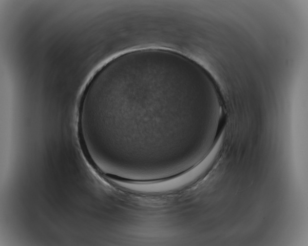 X0000088391508200705221103