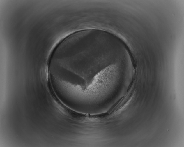 X0000088391509200705221103