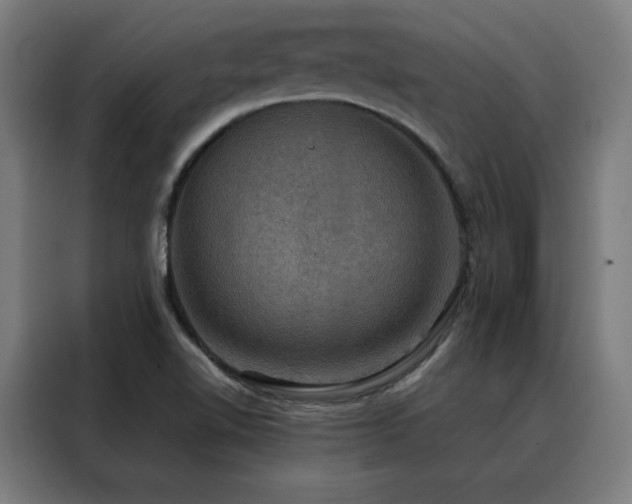 X0000088391510200705221103