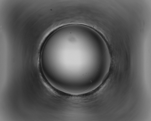 X0000088391511200705221103