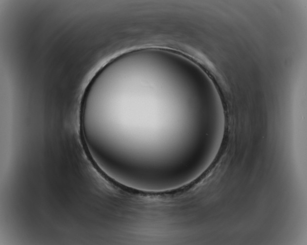 X0000088391512200705221103