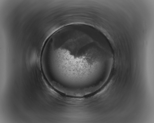 X0000088391513200705221103