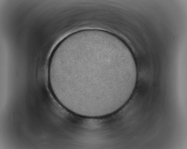 X0000088391514200705221103