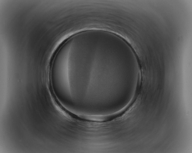 X0000088391515200705221103