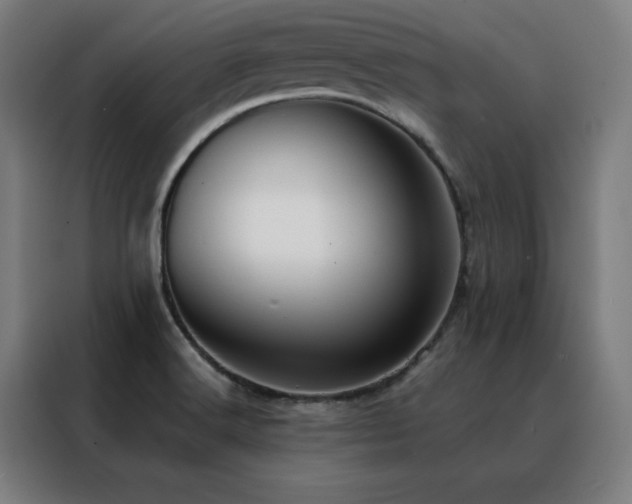 X0000088391516200705221103