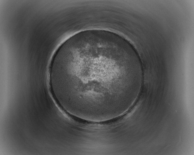 X0000088391517200705221103