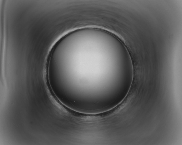 X0000088391518200705221103