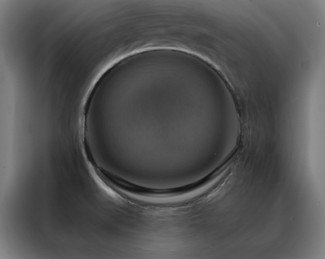 X0000088391519200705221103