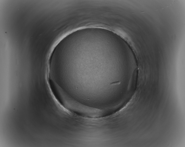 X0000088391520200705221103