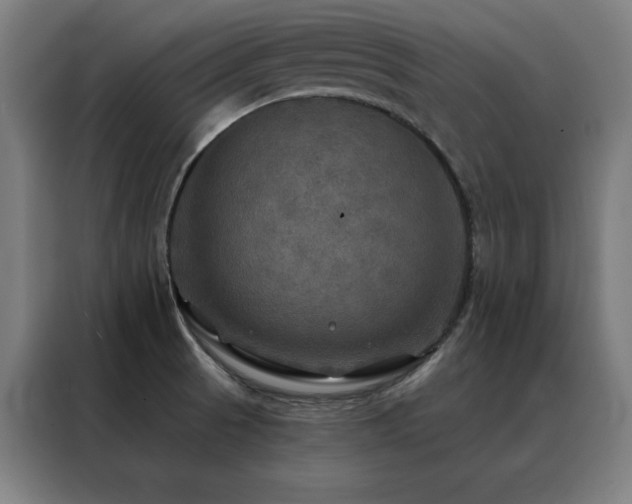 X0000088391521200705221103