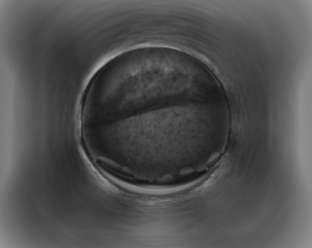 X0000088391522200705221103