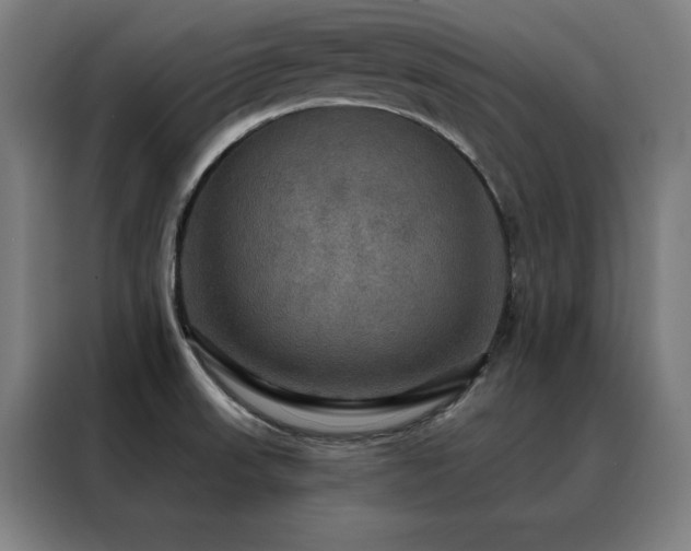 X0000088391523200705221104