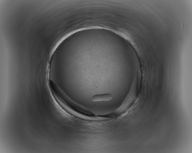 X0000088391524200705221104