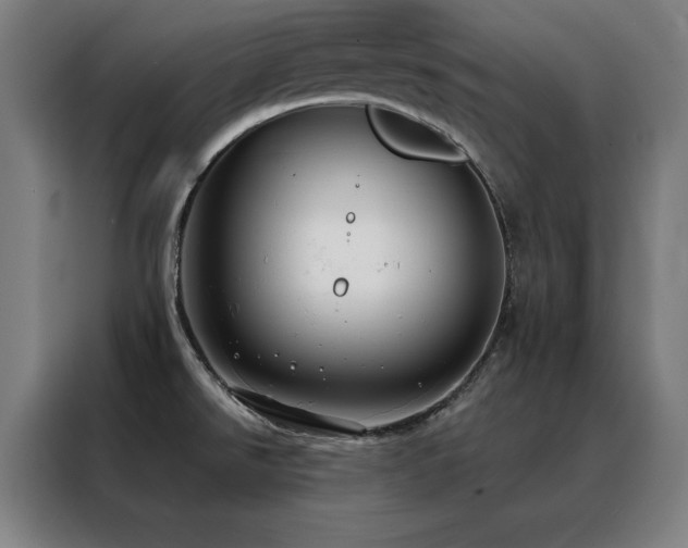 X0000088391526200705221104