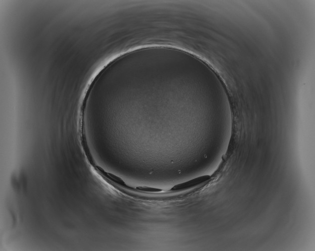 X0000088391527200705221104