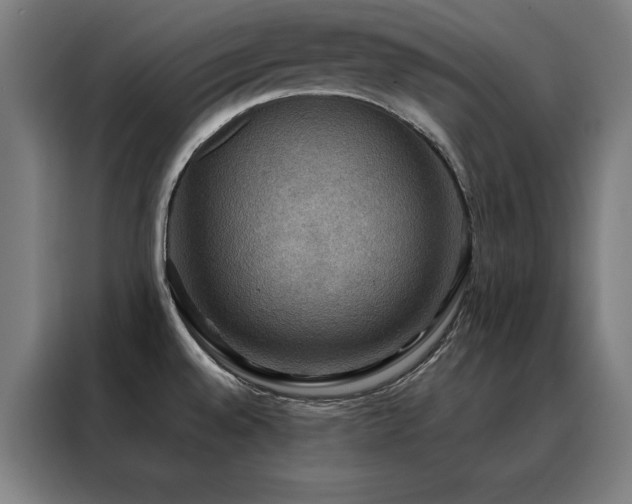 X0000088391528200705221104