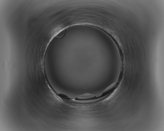 X0000088391529200705221104