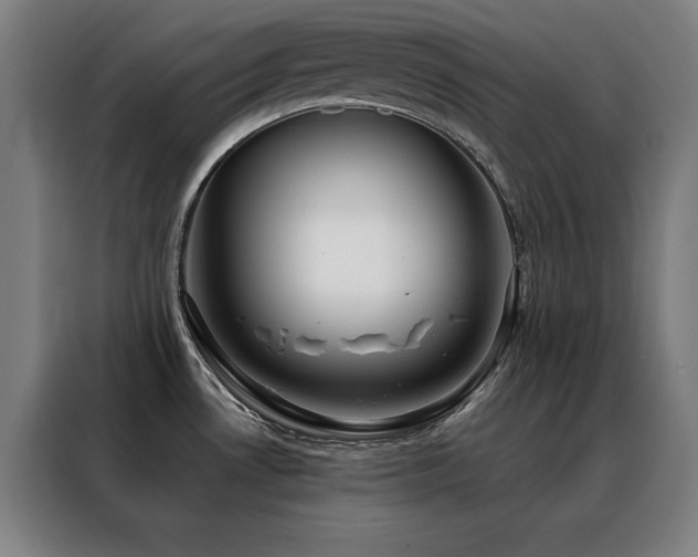 X0000088391530200705221104