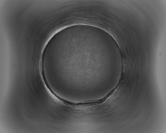 X0000088391531200705221104