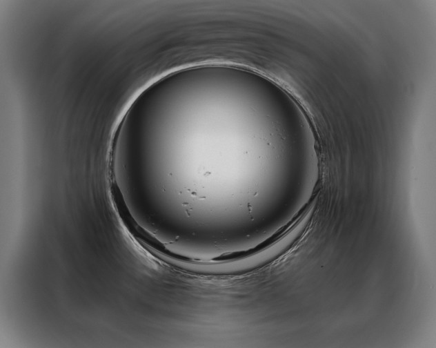 X0000088391532200705221104