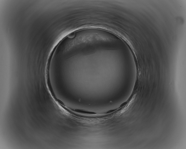 X0000088391533200705221104