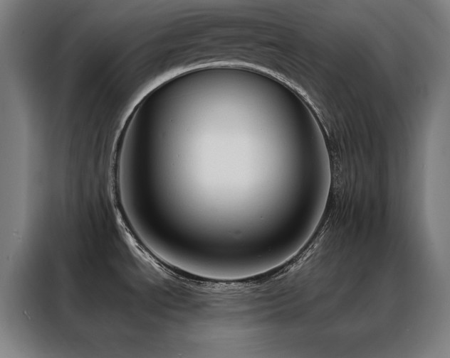 X0000088391534200705221104