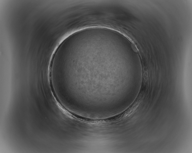 X0000088391535200705221104