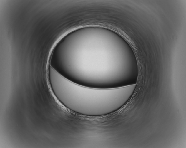 X0000088391536200705221104