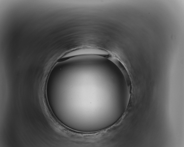 X0000088390001200705291418