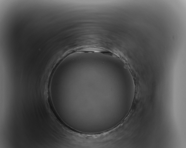 X0000088390002200705291418