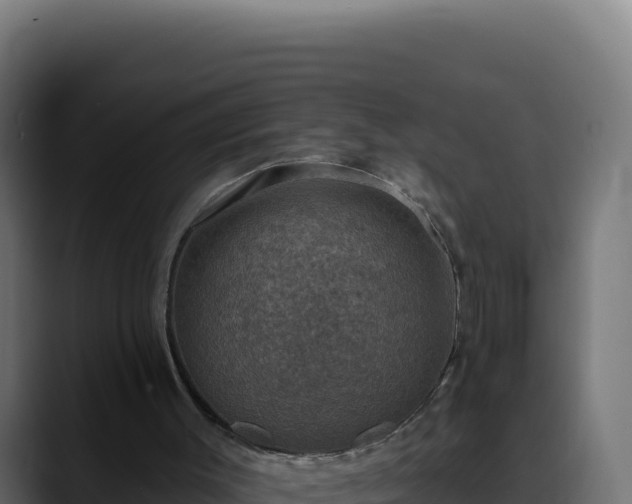 X0000088390003200705291418