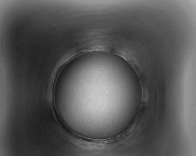 X0000088390004200705291418