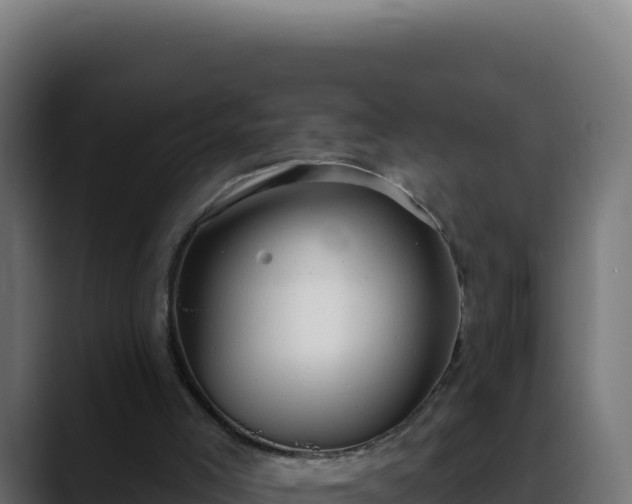 X0000088390005200705291418