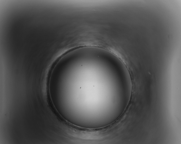 X0000088390008200705291418