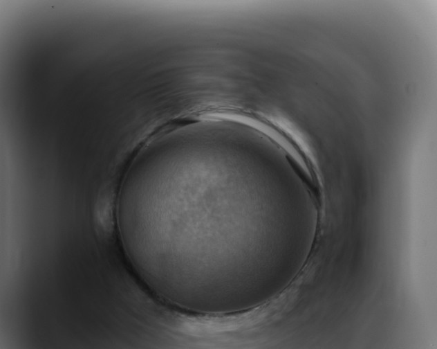 X0000088390009200705291418