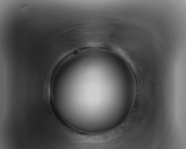 X0000088390011200705291418