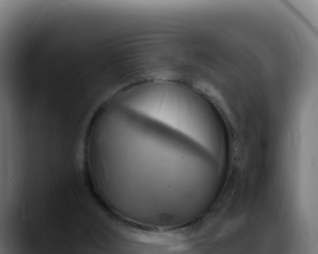 X0000088390012200705291418