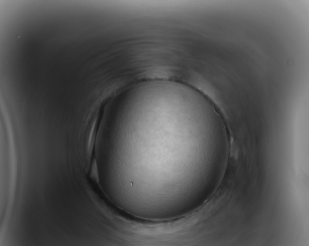 X0000088390013200705291418