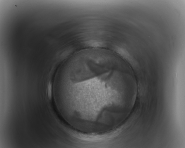 X0000088390014200705291418