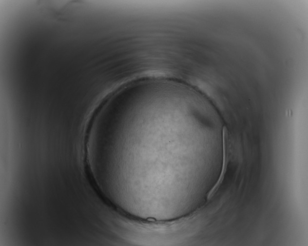 X0000088390015200705291418